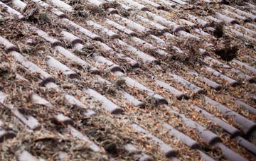 Foxbar roof cleaning companies