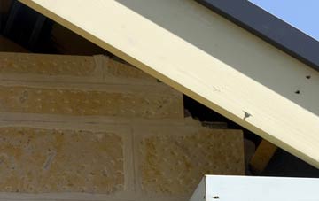 soffit repair Foxbar