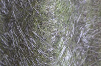 Foxbar fibreglass roof work